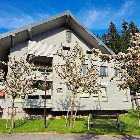 Resident Harrachov Family Apartment Dış mekan fotoğraf