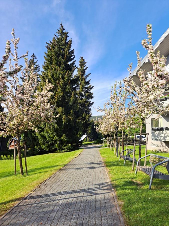 Resident Harrachov Family Apartment Dış mekan fotoğraf
